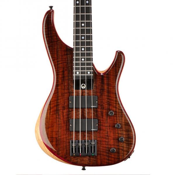Custom G.Gould Graphite GGi4 Bass in Highly Figured Walnut Decadence - #1258 - 8.2 pounds 2017 Wal #1 image