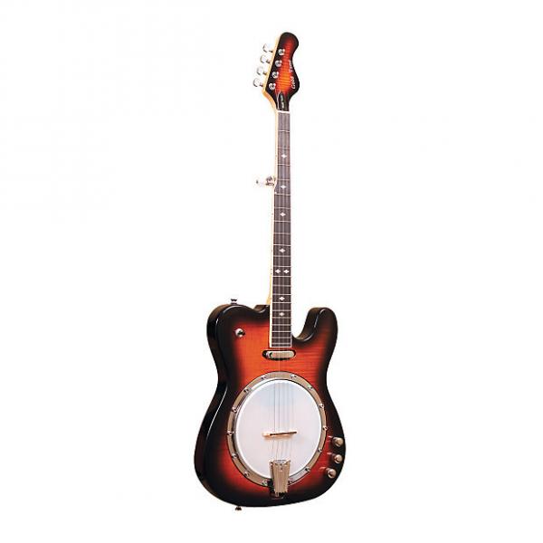 Custom Gold Tone EBT Electric Banjo #1 image