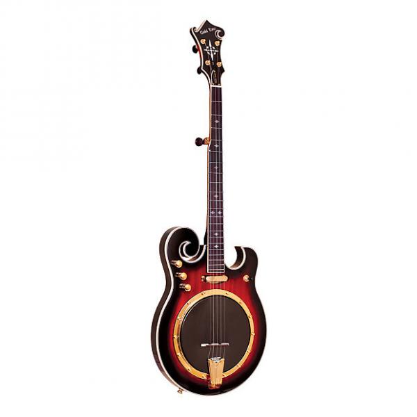 Custom Gold Tone EBM-5+ Professional Electric Banjo #1 image
