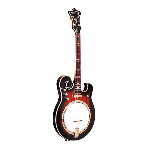 Custom Gold Tone EBM-4 Electric Tenor Banjo #1 image