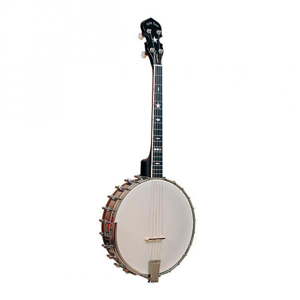 Custom Gold Tone IT-800 Irish Tenor Banjo with Case #1 image