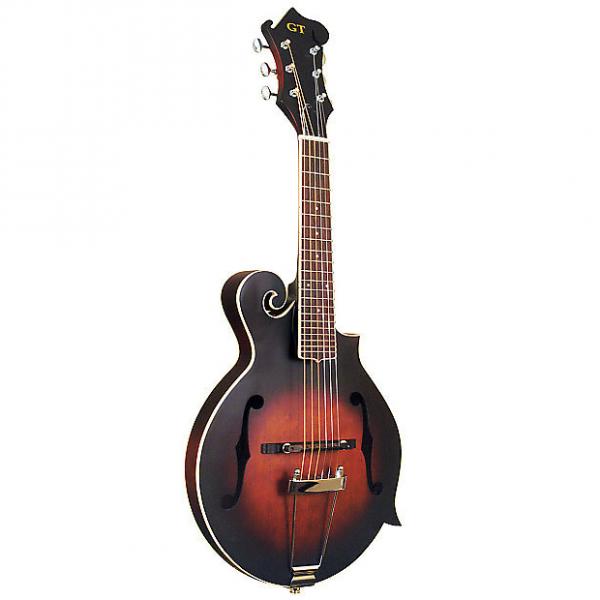 Custom Gold Tone Mando-Guitar 6-String with Piezo Pickup and Case - Model F6 #1 image