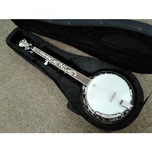 Custom Ibanez B300 5 String Banjo, Brass Tone Ring, Rosewood Resonator, Hard Case Natural #1 image