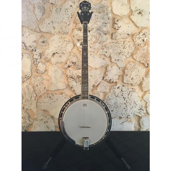 Custom Fender concert tone 54 banjo w/ hard shell case #1 image