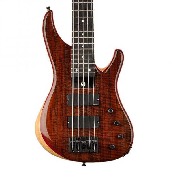 Custom G.Gould Graphite GGi5 Bass in Highly Figured Walnut Decadence - #1259 - 8.8 pounds #1 image