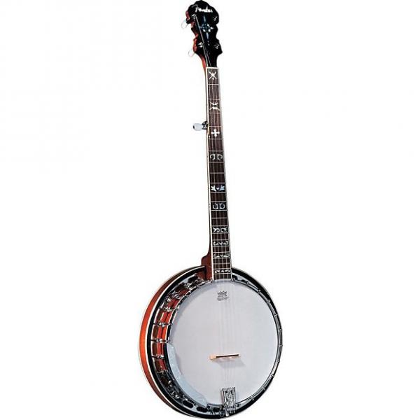 Custom Fender FB-55 Banjo, Mahogany Resonator, Chromed Brass Tone Ring - Natural #1 image