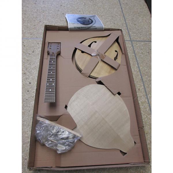 Custom Saga AM-10 Build Your Own Mandolin Kit Build Kit #1 image