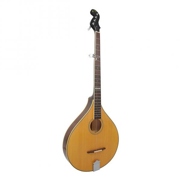 Custom Gold Tone Banjola Woodbody Banjo #1 image