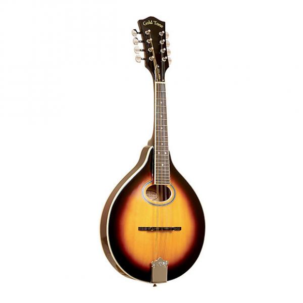 Custom Gold Tone GM-50 A-Style Mandolin #1 image