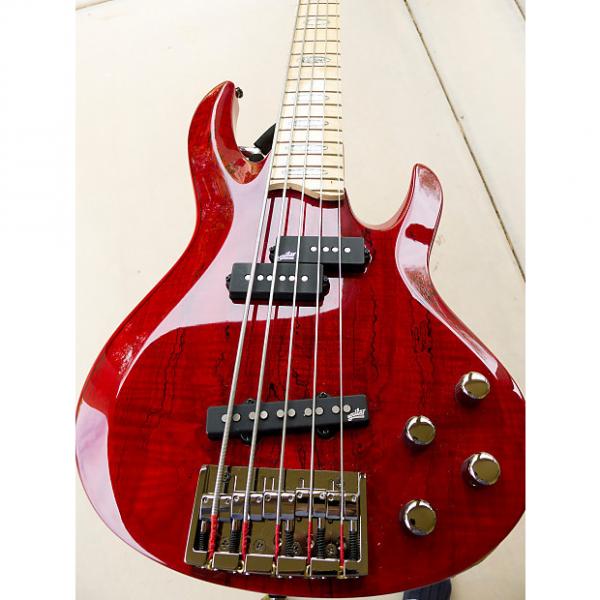 Custom ESP LTD rb-1005  Red see-thru spalted maple #1 image