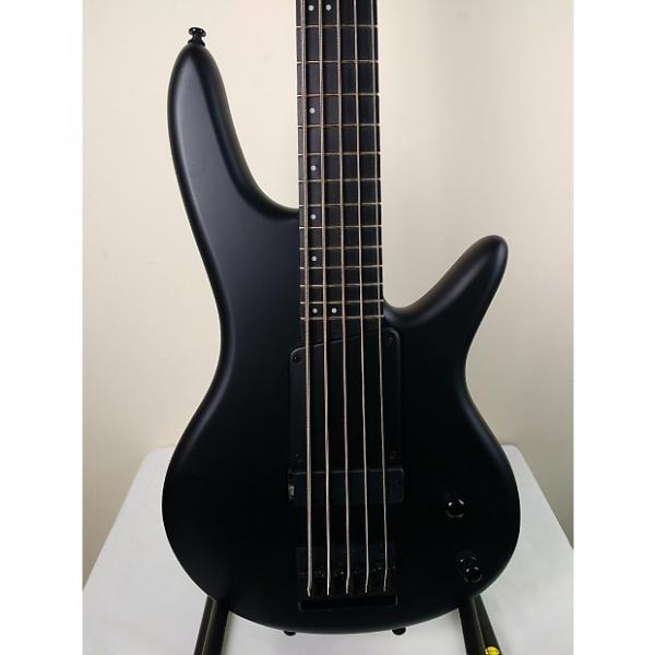 Custom Ibanez GWB35FD-BKF Gary Willis Signature 5-String Bass *FRETTED* Matte Black #1 image