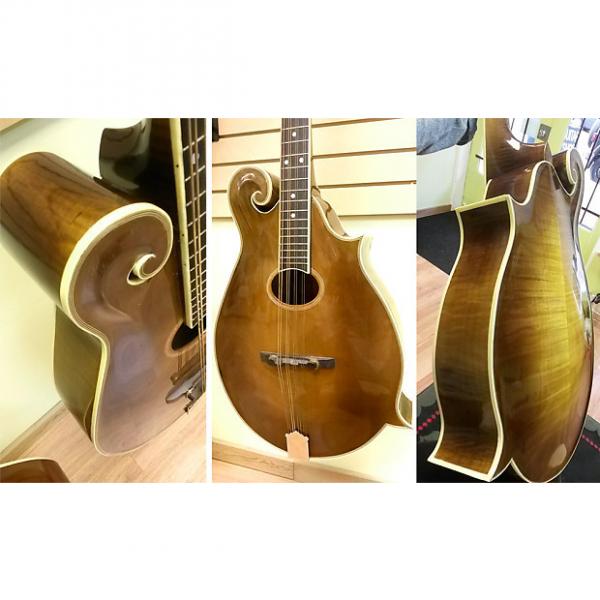 Custom 1993 Handcrafted MandoCello by Stephenson, Arched top and back #1 image