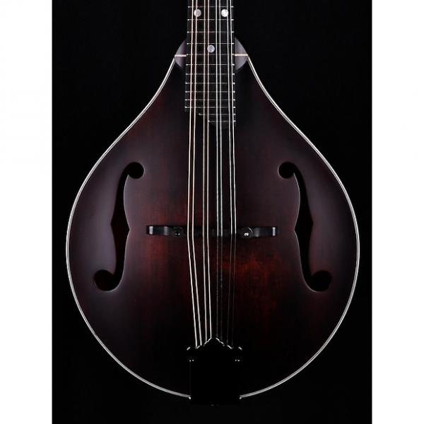 Custom Eastman MD305 A-Style F-Hole Mandolin #1 image
