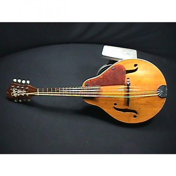 Custom Vintage U.S.A.Made Solid Wood Silvertone Archtop-Archback Mandolin in Ready to Play Condition #1 image