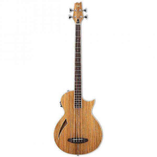 Custom ESP LTD TL-4Z 4-ST NAT Thinline Exotic Zebrawood Bass Guitar Natural TL 4 B-STOCK #1 image