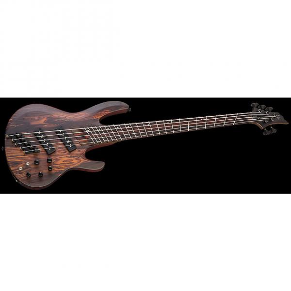 Custom ESP LTD B-1005SE Multi Scale Electric Bass in Natural Satin #1 image