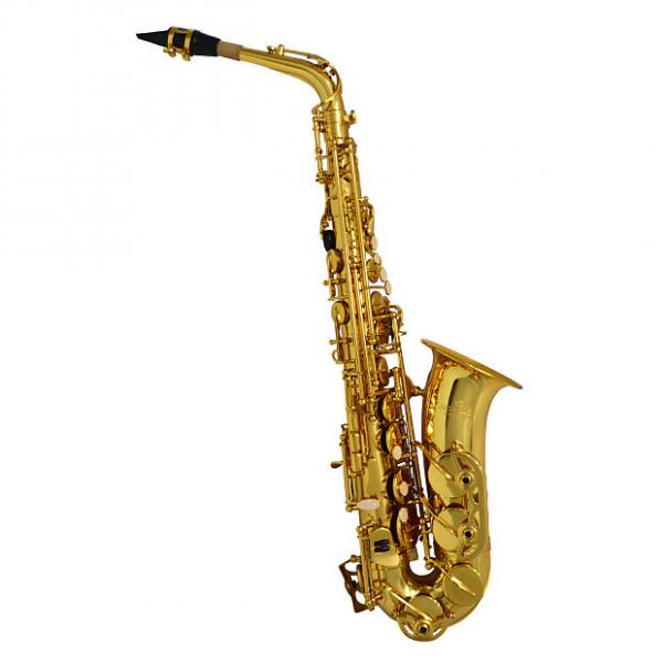 Custom Schiller American Heritage 400 Alto Saxophone - Gold Lacquer #1 image
