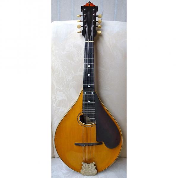 Custom Lyon &amp; Healy Style C Mandolin - Longer of the two scales they made #1 image