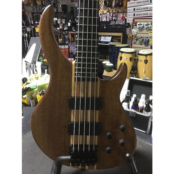 Custom Peavey Grind 5 String Bass #1 image