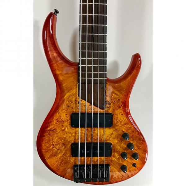 Custom MTD Eclipse 5-String Bass - Maple Burl top, Wenge neck/fingerboard, gig bag #1 image