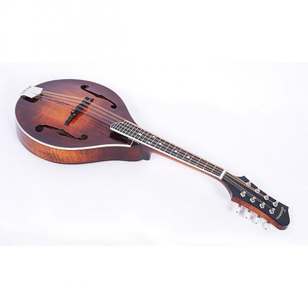 Custom Eastman MD505 A-Style Full Gloss Hand Carved Mandolin With Case #1 image