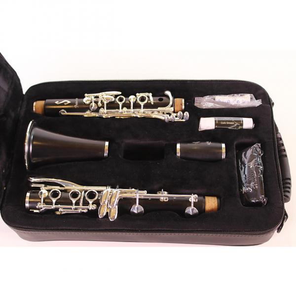 Custom Selmer Paris Seles B16 Presence Professional Clarinet DISPLAY MODEL #1 image
