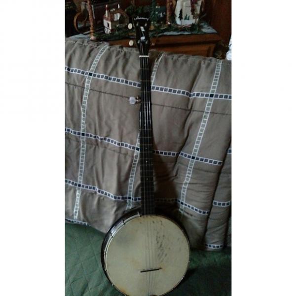 Custom Harmony  Banjo 1950's #1 image