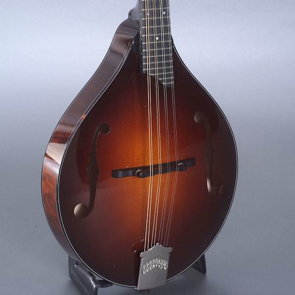 Custom Collings MT2 Custom A-Model Mandolin &amp; Case #1 image
