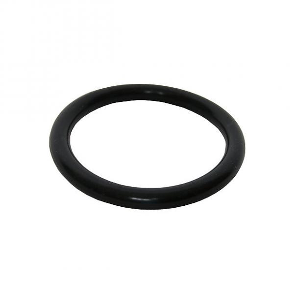 Custom Idiopan 4&quot; Display Ring Black #1 image