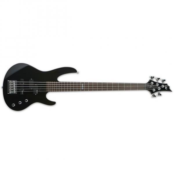Custom ESP Ltd B-55 5-string Electric Bass, Black #1 image