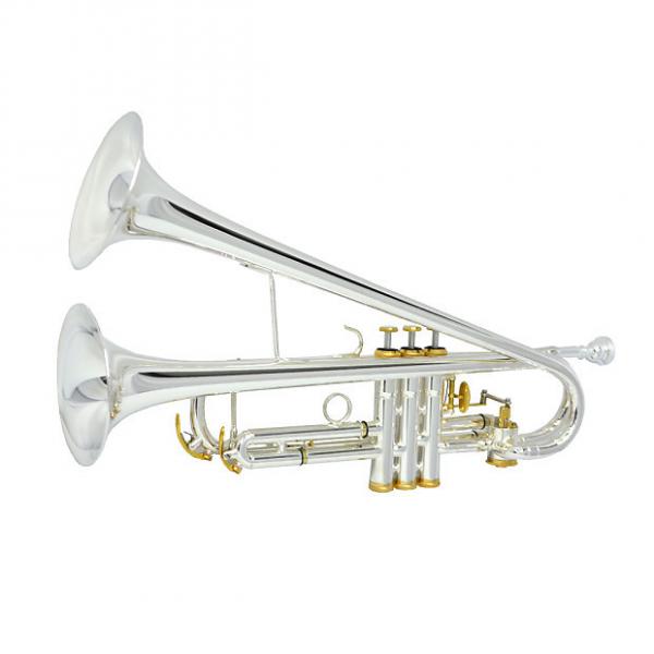 Custom Schiller Bandleader Trumpet - Silver &amp; Gold Plated #1 image