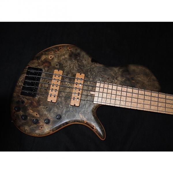 Custom Elrick Single Cut 5 String Electric Bass (Buckeye Burl) #1 image