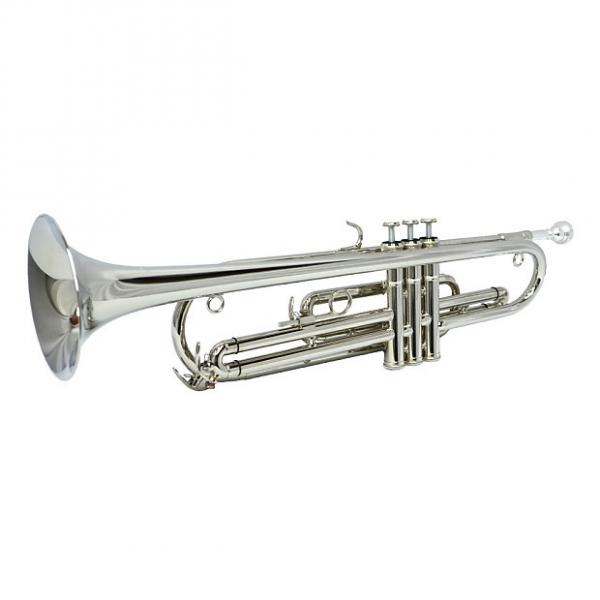 Custom Schiller American Heritage Eb Bass Trumpet #1 image
