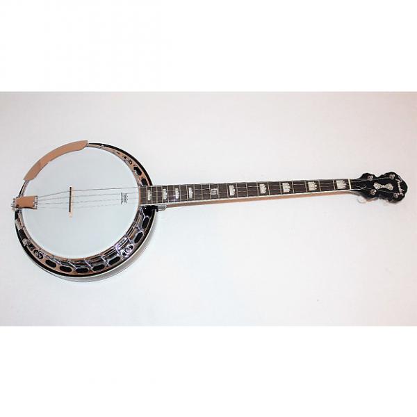 Custom Fender Robert Schmidt Signature Plectrum 4 String Electric Banjo w/ Gigbag #1 image