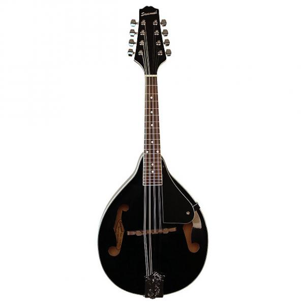 Custom Savannah SA-100 A-Model Mandolin - Black #1 image