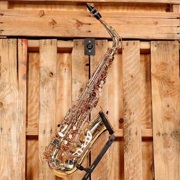 Custom Selmer Soloist Student Alto Saxophone Outfit *Rental Inventory Closeout* 2010's Brass Lacquer #1 image