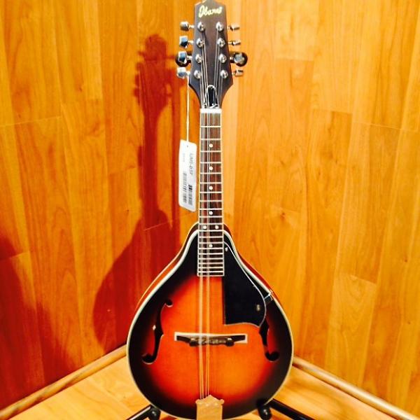 Custom Ibanez LJM5 Mandolin #1 image