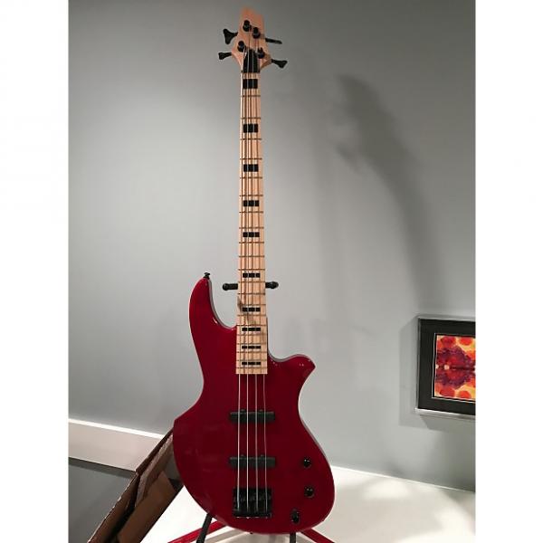 Custom Warmoth Z Bass 4-string w/Bartolini Jazz Bass pickups &amp; preamp #1 image