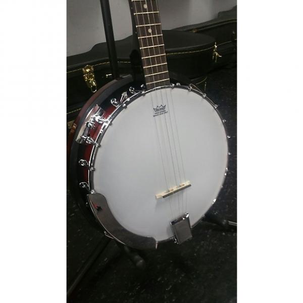 Custom Savannah  SB-100 5-string Banjo #1 image