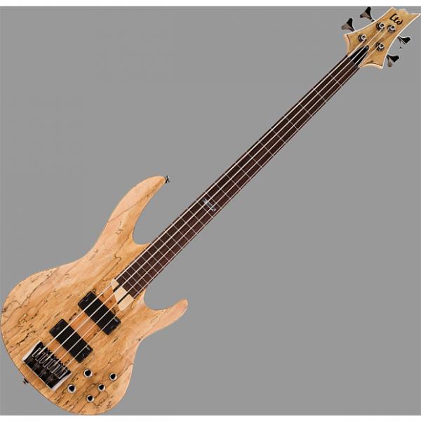 Custom ESP LTD B-204SM Fretless Bass in Natural Stain Finish #1 image