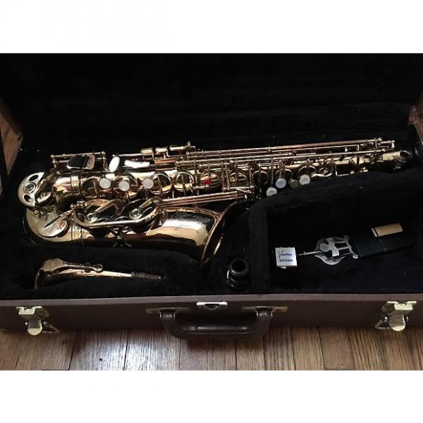 Custom Vespro Vespro Alto Saxophone #1 image