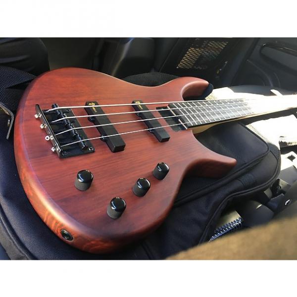 Custom 4 String Bass w Amp and Accessories #1 image