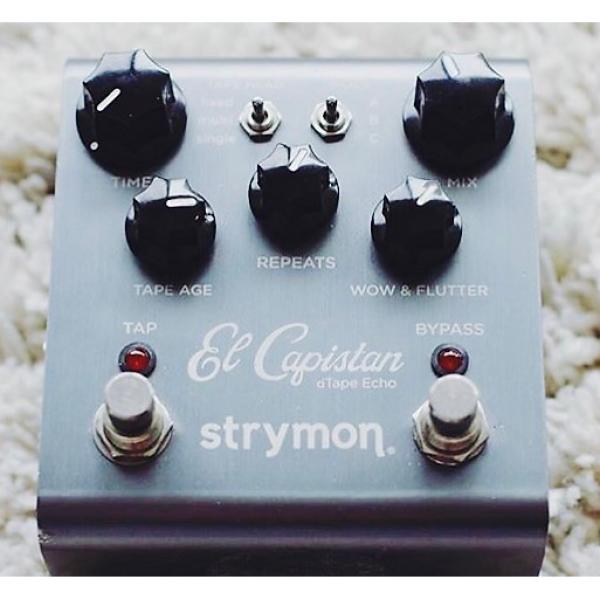 Custom Strymon El Capistan #1 image