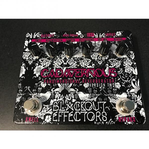 Custom Blackout Effectors Cadavernous Pandimesional Reverberator V2 #1 image