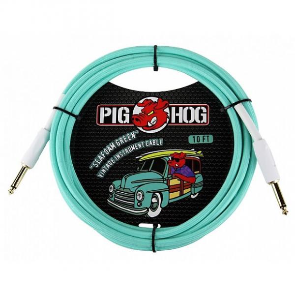 Custom Pig Hog PCH10SG Seafoam Green Instrument Cable 10 Ft #1 image