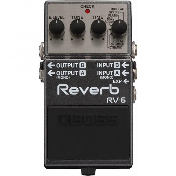 Custom BOSS RV-6 Reverb Pedal #1 image