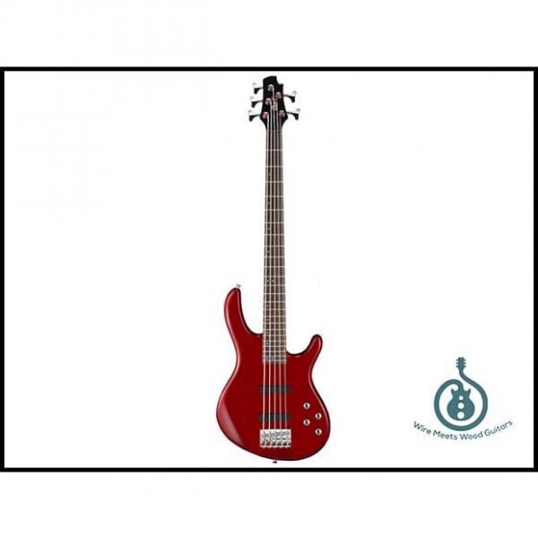 Custom Cort Action Bass Plus 5-String, JJ Pickup Set, 2-Band Eq, Lightweight, Trans Red, Free Shipping #1 image