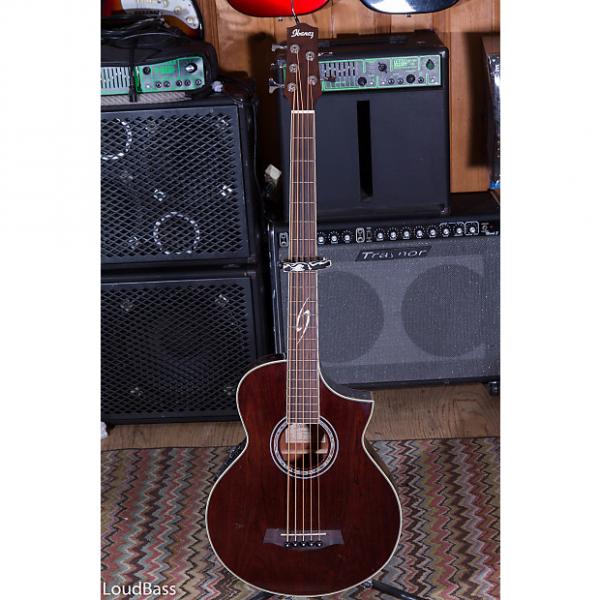 Custom Ibanez EWB205WNE Exotic Woods 5-String Acoustic-Electric Bass #1 image