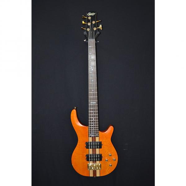 Custom Copley CBE59NT 5-String Bass - Jack Hall of Wet Willie #1 image