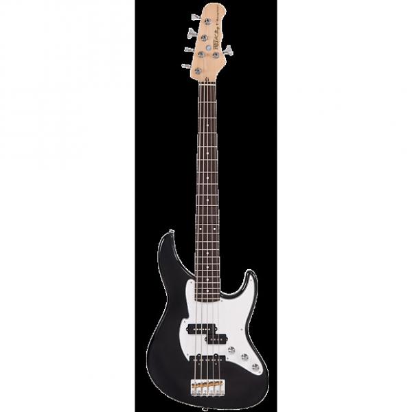 Custom Fret King Black Label Perception 5 String Bass Guitar - Gloss Black #1 image